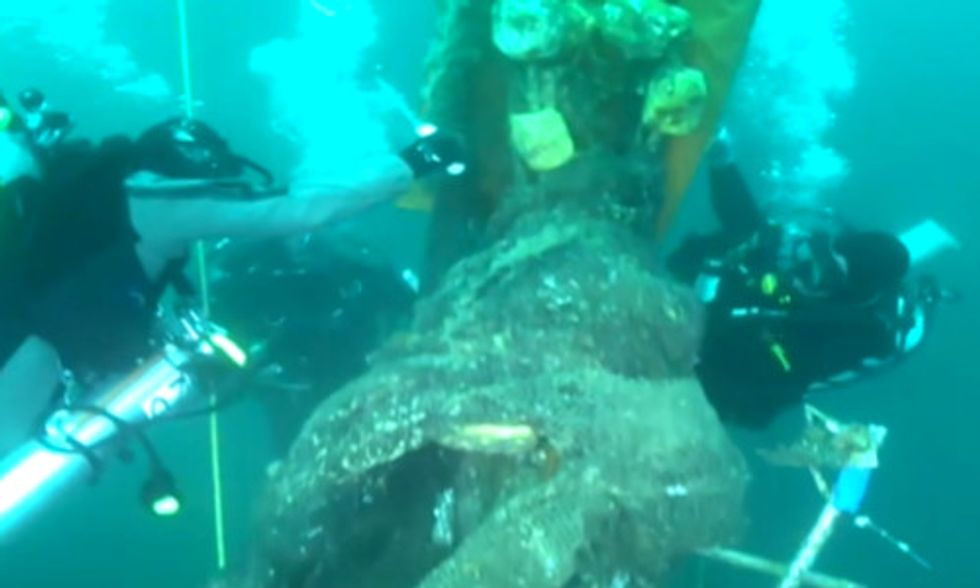 Undersea Superheroes Save Imperiled Marine Life