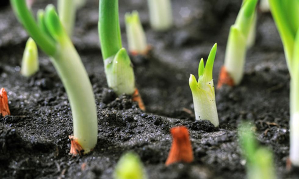 Vandana Shiva: 'All Life Depends on Soil'