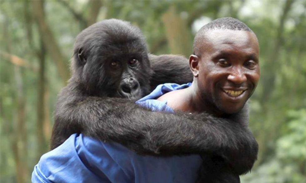 Oscar Nominated 'Virunga' Instrumental in Protecting Africa's Oldest National Park