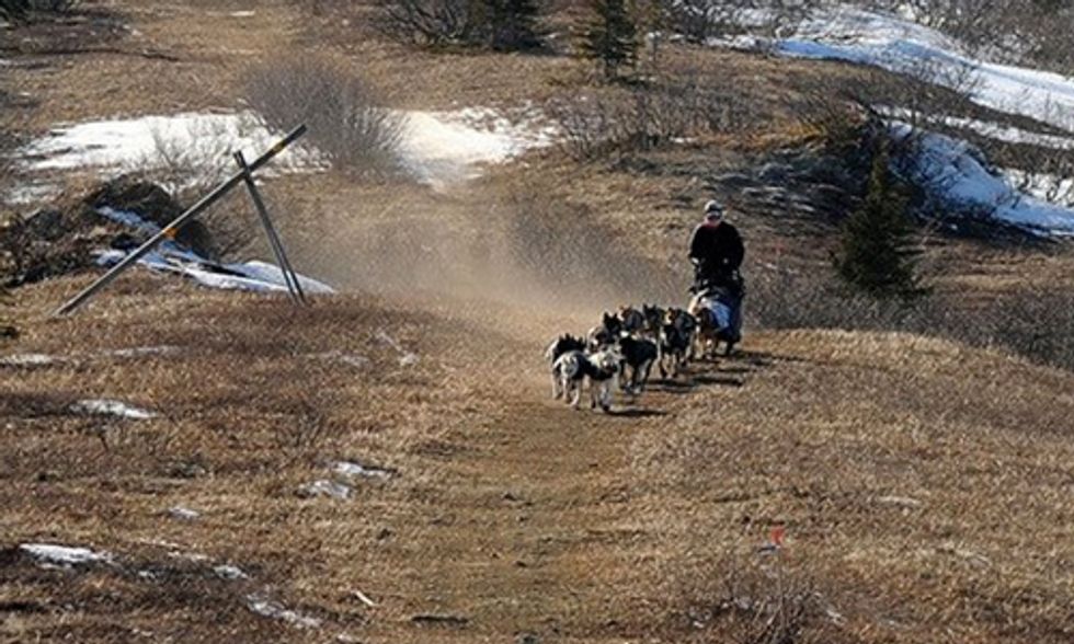 Legendary Iditarod Sled Dog Race Moved North As Alaska Deals With Climate Change