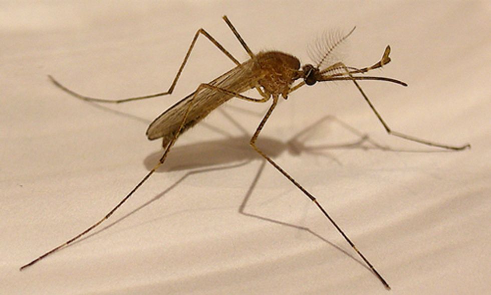 Climate Change Leads to Rapid Emergence of Infectious Diseases