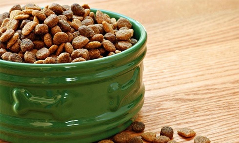 The Truth About Pet Food