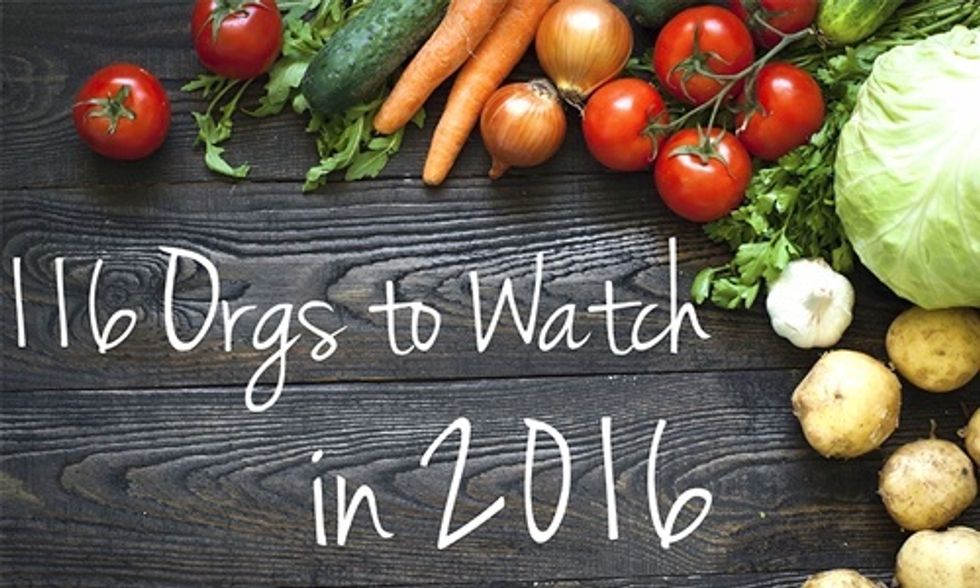 116 Organizations Creating a Sustainable Global Food System