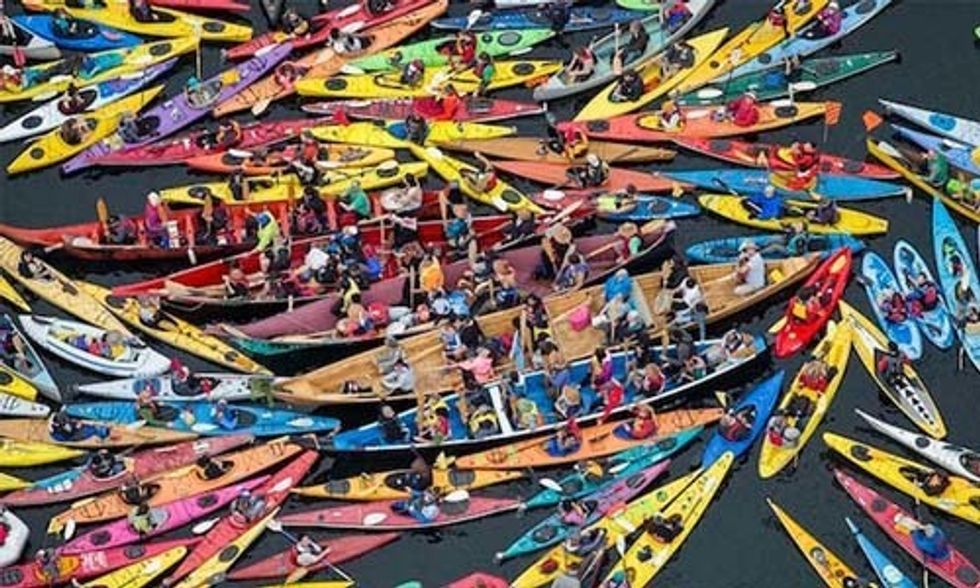 15 Huge Ocean Conservation Victories of 2015