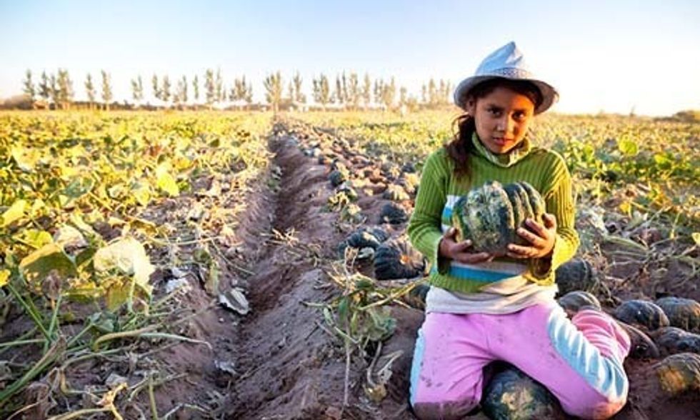 16 Reasons 2016 Will Bring Positive Change to the Global Food System
