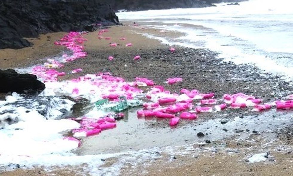 27,000 Pink Plastic Detergent Bottles Wash Up on UK Beach
