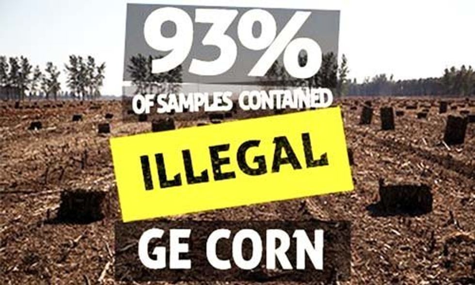 Greenpeace: Chinese Farmers Are Illegally Growing GMO Corn
