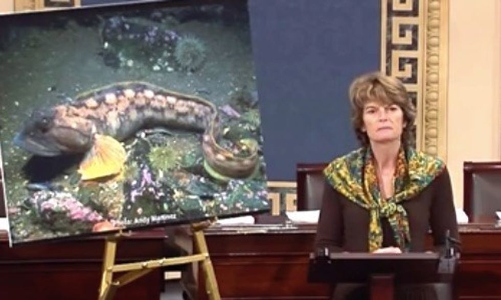 Outraged Republican Senator Vows to Block Appointment of FDA Commissioner Over GMO Salmon