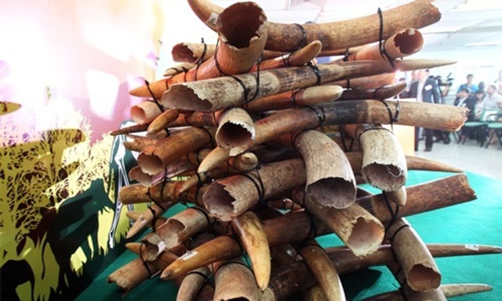 Huge Victory for Elephants: Hong Kong Bans Ivory Trade