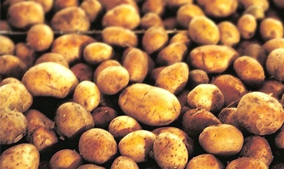 FDA Approves Genetically Engineered Potato