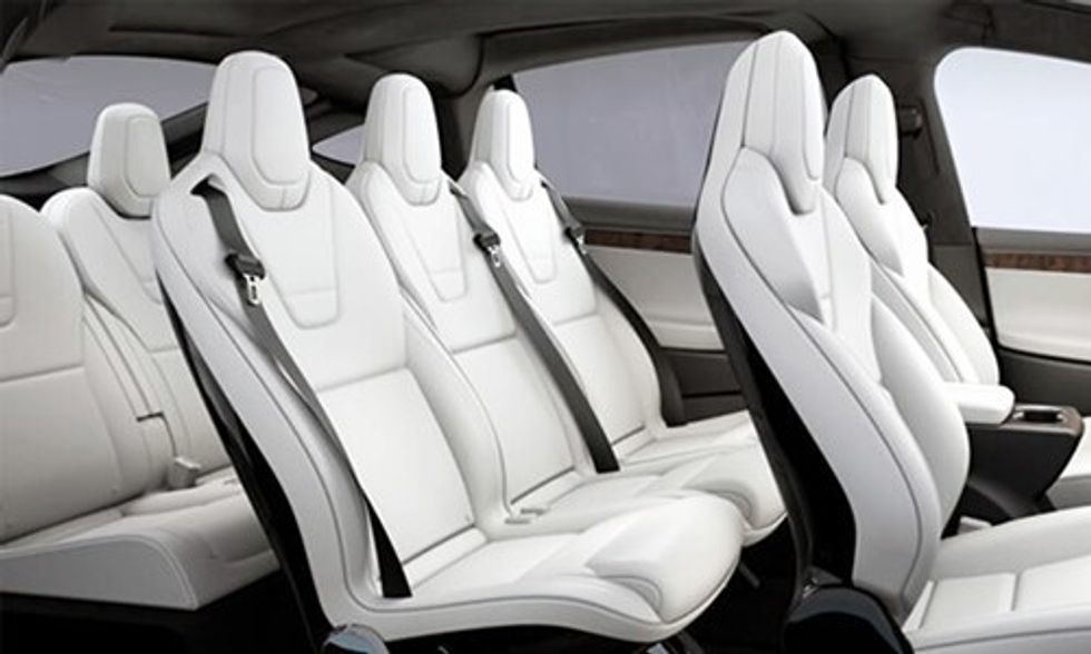 Elon Musk's Tesla Launches All-Vegan Car