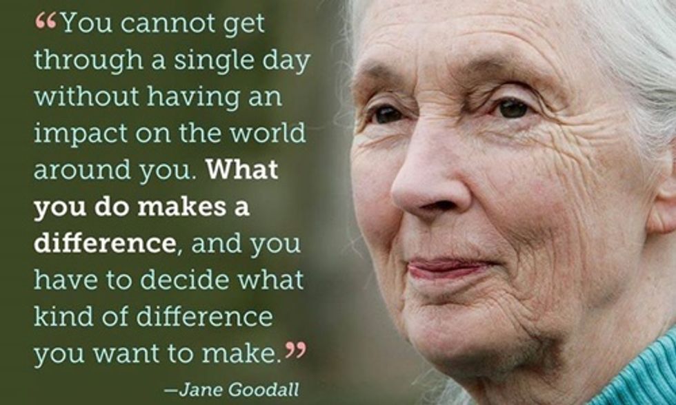 Jane Goodall: Power of Corporations Is Destroying World's Rainforests