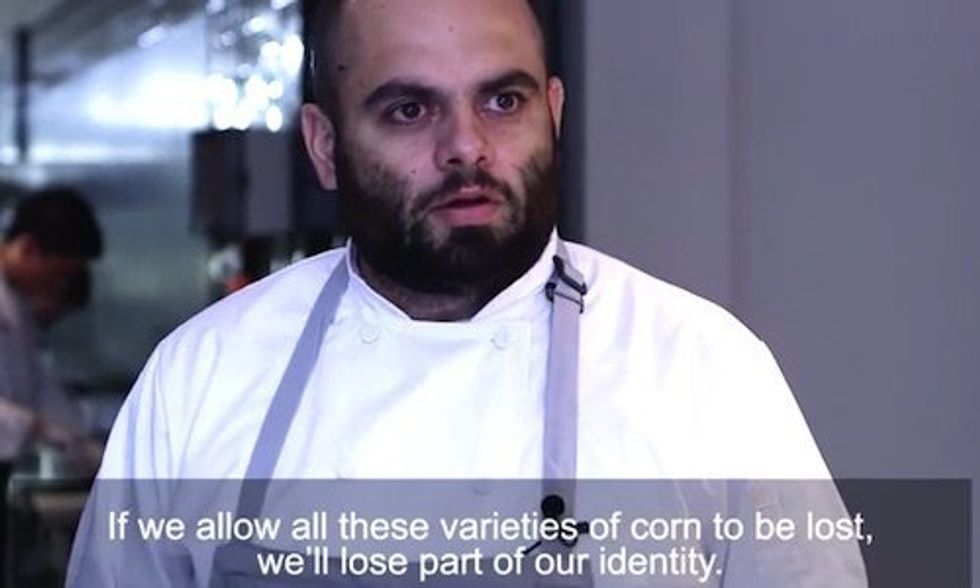 59 Indigenous Corn Varieties at Risk as Monsanto Eyes Mexico