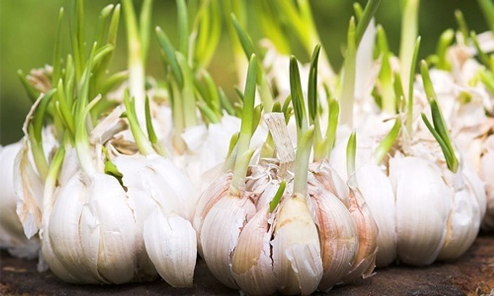 6 Power Foods that Help Fight Cancer