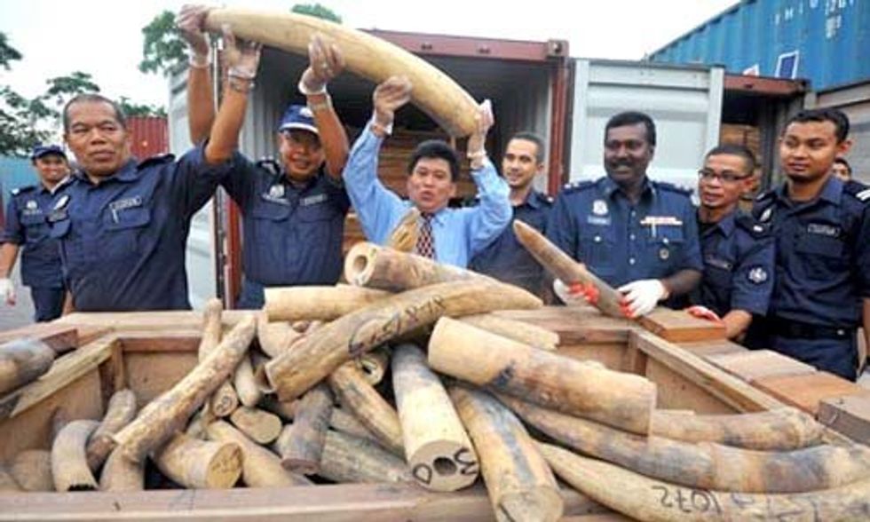Sri Lanka Is First Country in the World to Apologize for Its Role in Illegal Ivory Trade