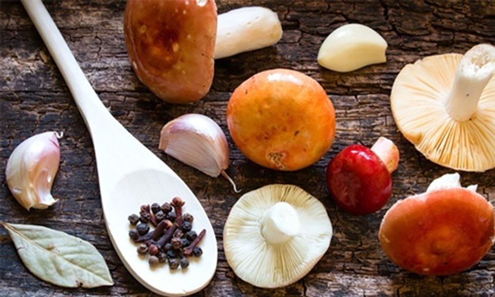 4 Reasons Why You Should Eat More Mushrooms