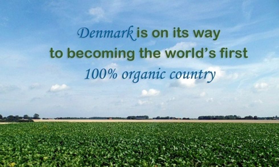 Will Denmark Become the World's First 100% Organic Country?