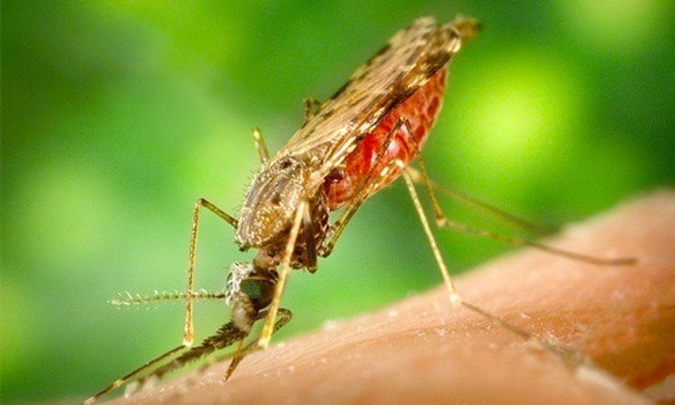 14 Cases to 4 Million: 10 Things You Should Know About Zika Virus