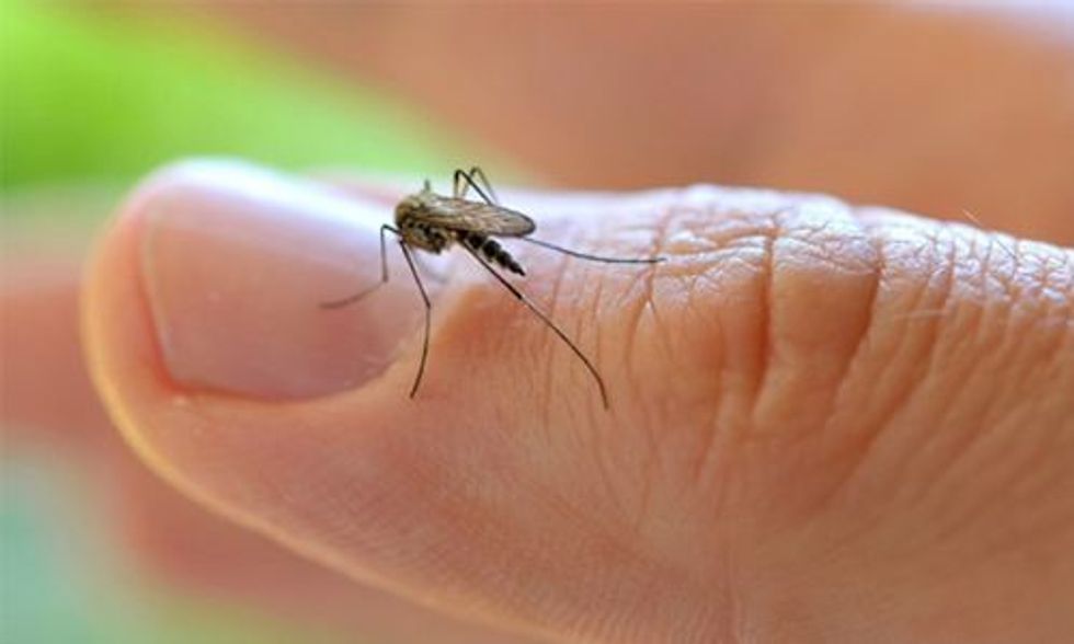Which Is the Biggest Threat to Americans: Zika, Cancer or ISIS?