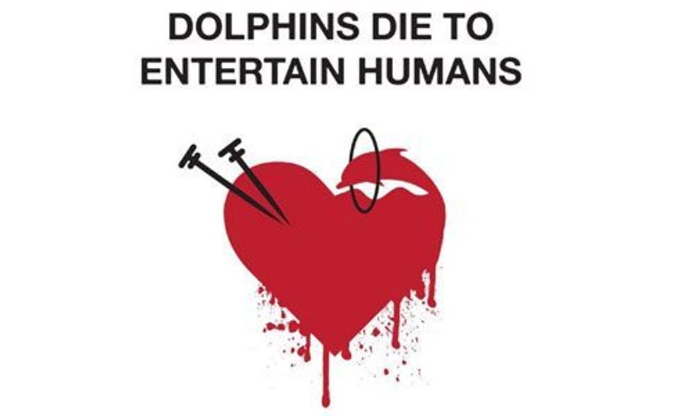 Paul Watson: Join World Love for Dolphins Day to Put an End to the Slaughter