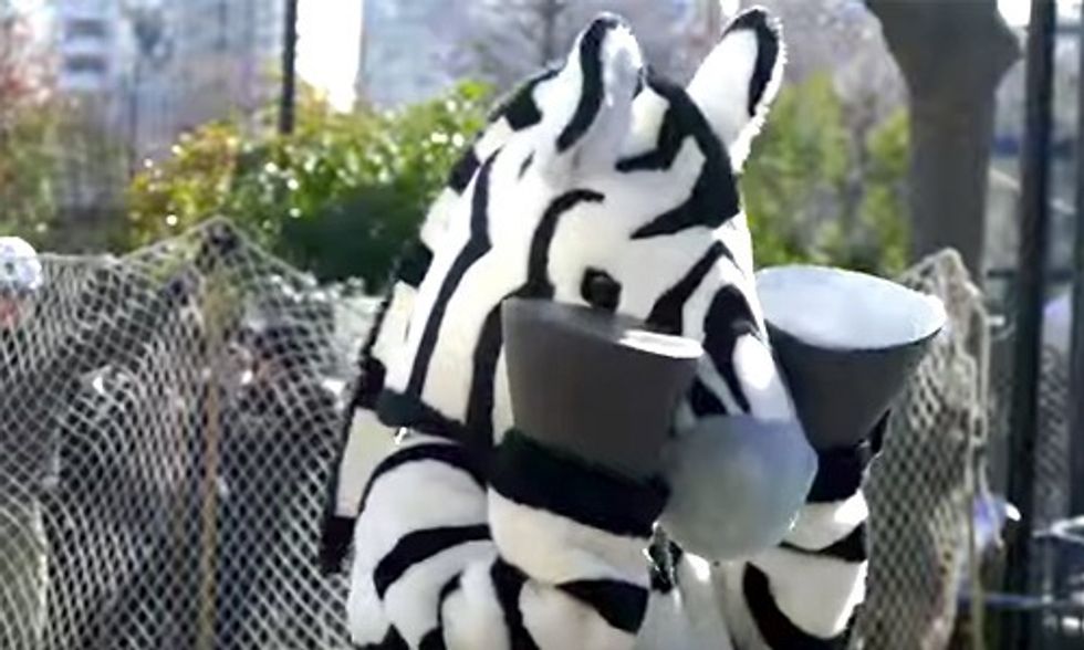 Watch This Zebra Escape From a Tokyo Zoo