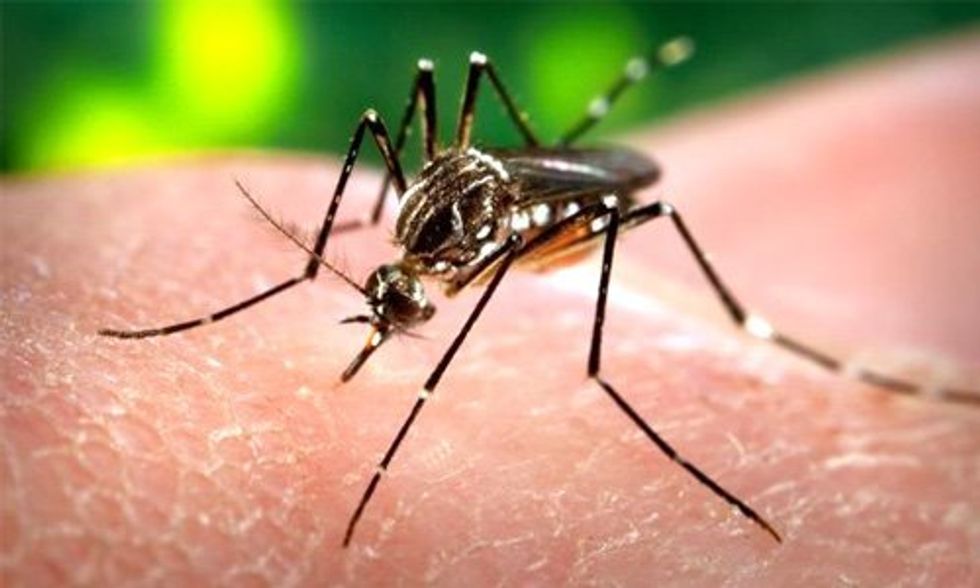 Climate Change Linked to Spread of Zika Virus