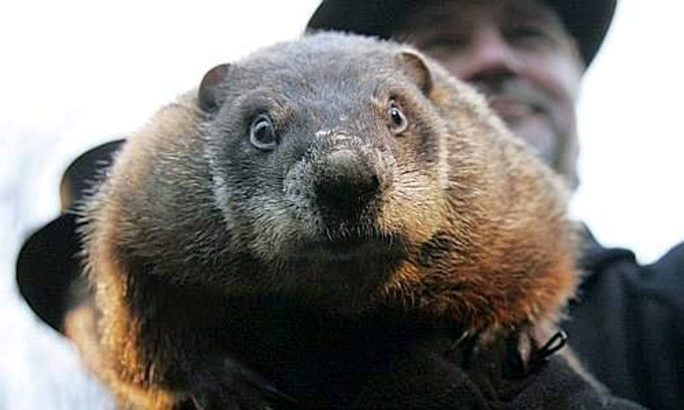 Bill Maher: GOP Mocks Punxsutawney Phil as 'Just Another Climate Alarmist Like Al Gore'