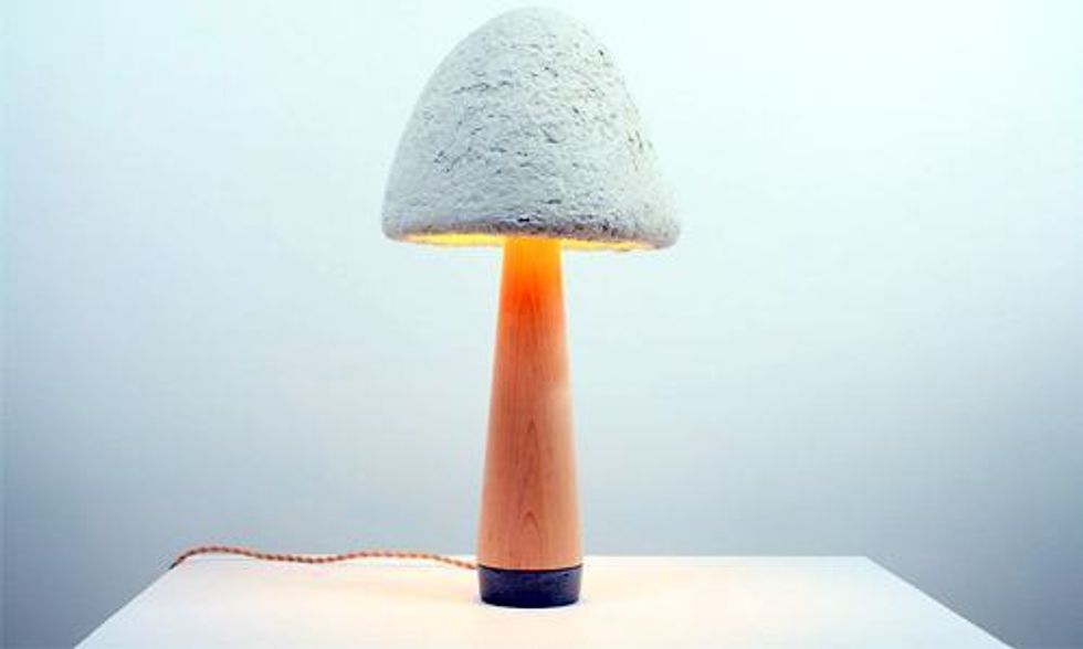 Check Out These Super Cool Lamps Literally Made From Mushrooms