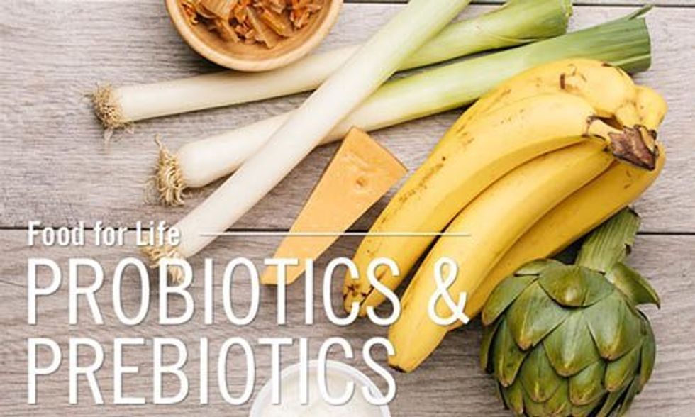 What's the Difference Between Probiotics and Prebiotics?