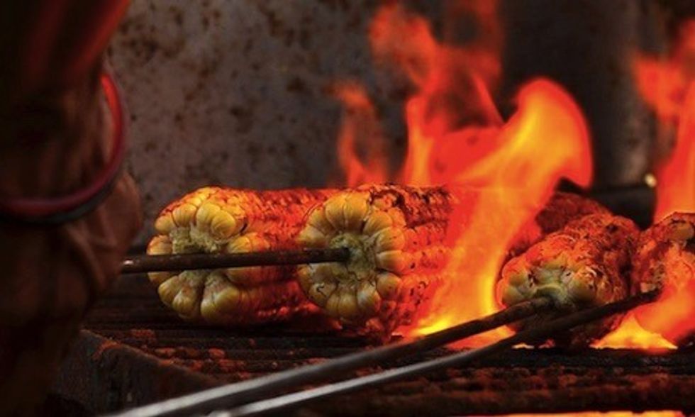 India's Food Supply at Risk of GMO Contamination After Lifting 16-Year Corn Import Ban