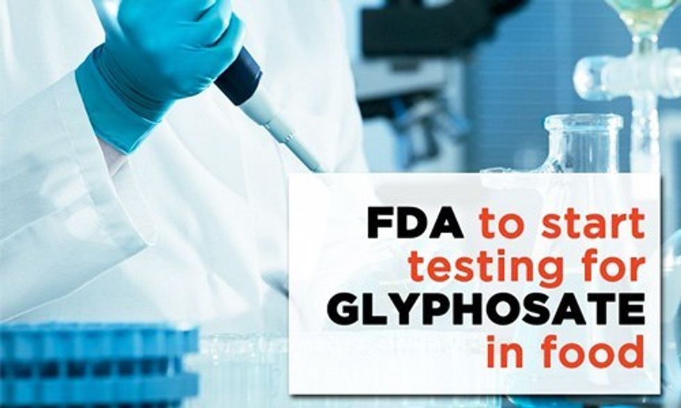 FDA to Start Testing Monsanto's Glyphosate in Food