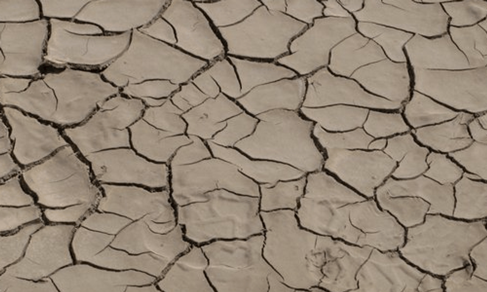 Epic Drought and Food Crisis Prompts South Africa to Ease Restrictions on GMOs