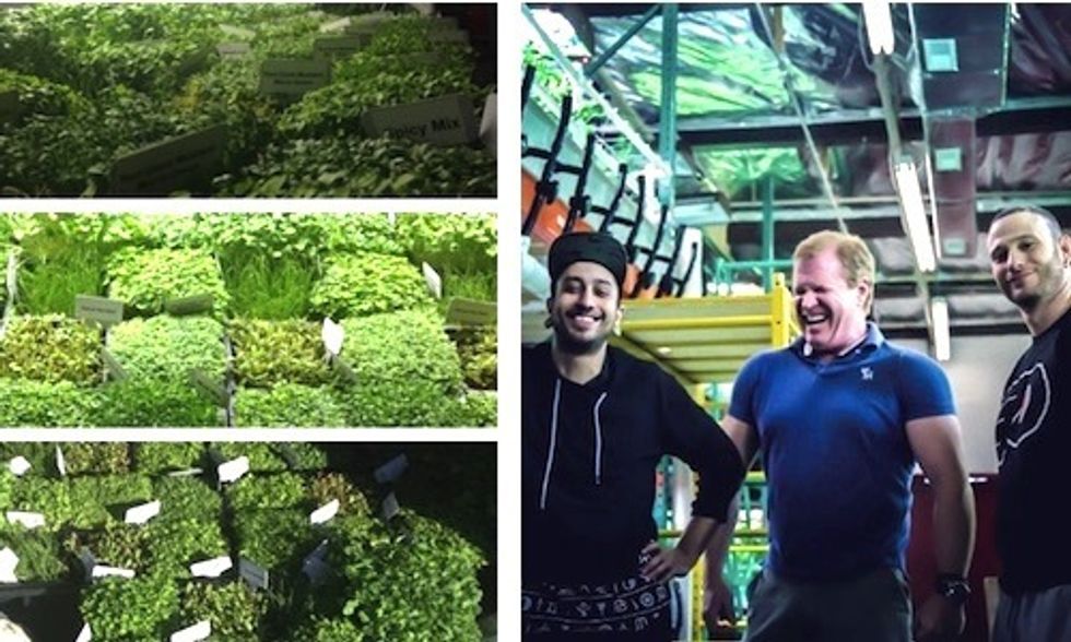 Nation's First Vegan-Certified Farm Is Booming in Philly