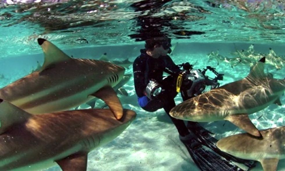 TED Talk: 'It's Not Too Late for Our Oceans'
