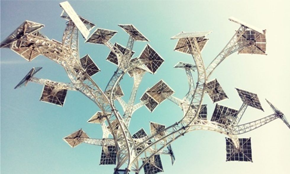 Iowa Grannies Plant Seed for Solar Tree