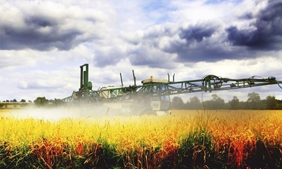 Why Is Glyphosate Sprayed on Crops Right Before Harvest?