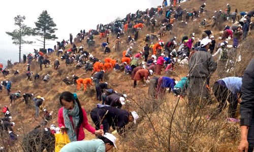 Bhutan Celebrates Birth Of Prince By Planting 108,000 Trees - EcoWatch