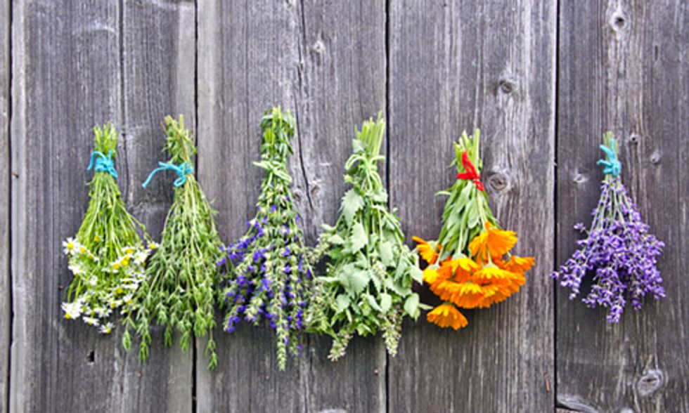 5 Health Benefits of Adding Herbs to Your Diet