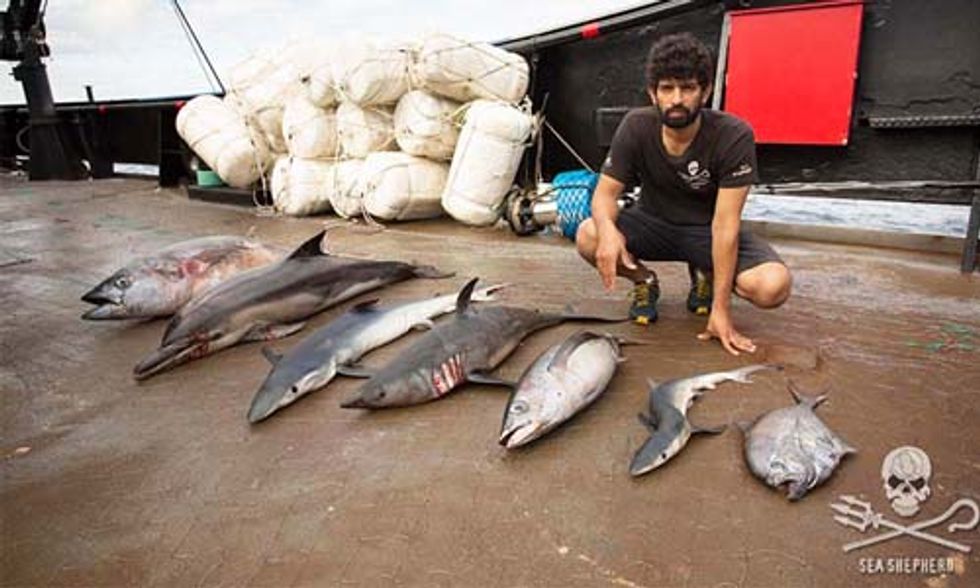 Shocking Footage of Illegal Fishing in the Indian Ocean