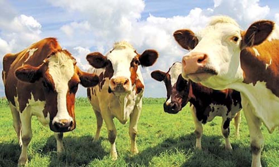 Eating Less Meat Could Save 5 Million Lives, Cut Carbon Emissions by 33%
