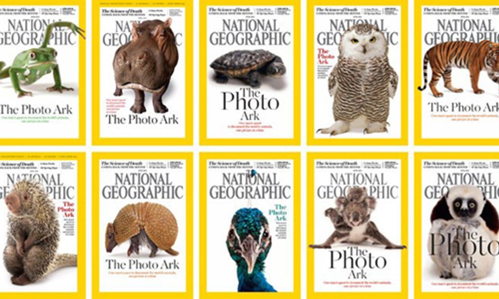 Photo Ark: One Man's Journey to Save the World's Most Endangered Species