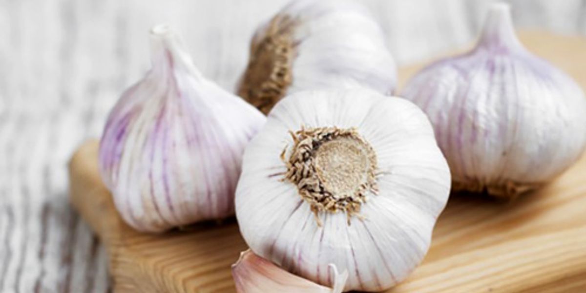 The Many Incredible Health Benefits Of Eating Garlic Boosting Your Immune System Ecowatch