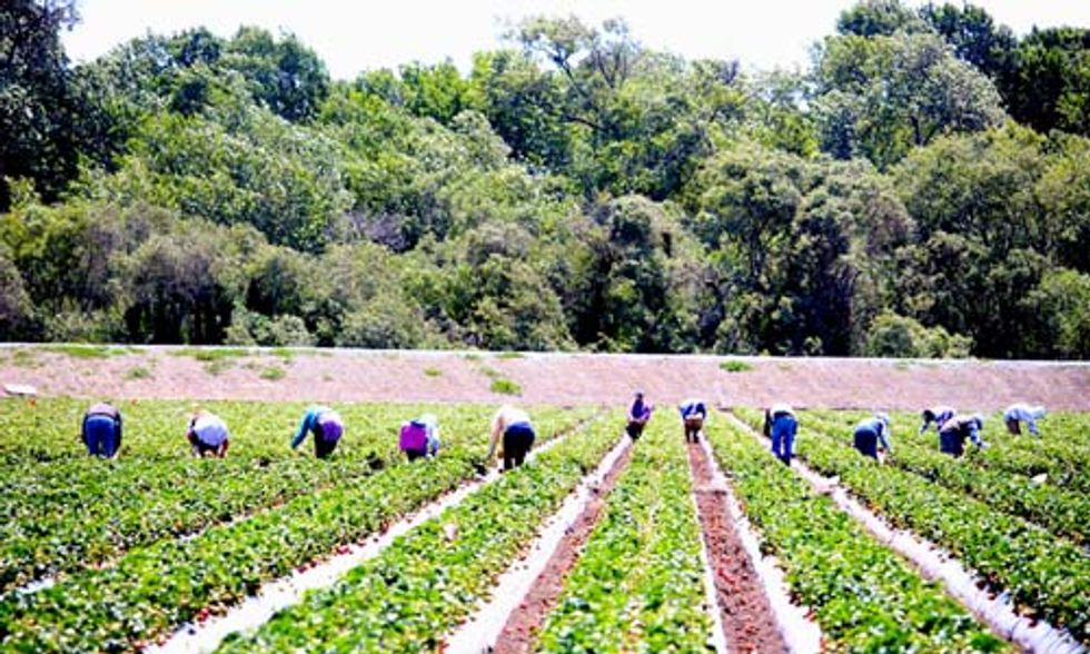 Big Business Steps Up to Help Solve California's Drought