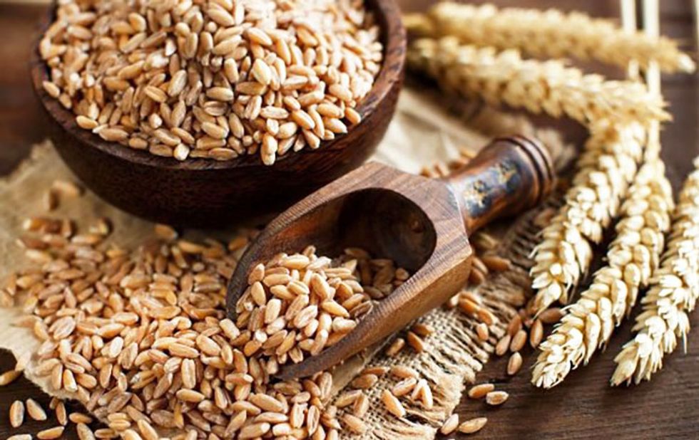 what-is-spelt-and-is-it-healthier-for-me-than-wheat-ecowatch