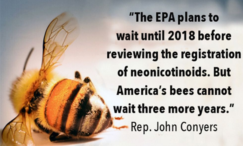 Maryland to Become First State to Ban Bee-Killing Pesticides for Consumer Use