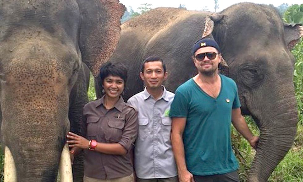 Leonardo DiCaprio: We Must Save the Last Place on Earth Where Orangutans, Tigers, Rhinos and Elephants Coexist