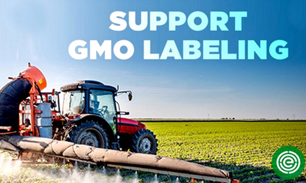 USDA Deregulates Two Lines of Genetically Engineered Corn From Monsanto, Syngenta