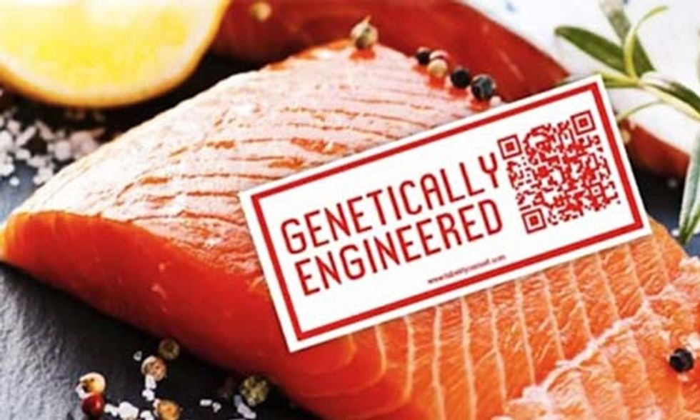 Groups Sue FDA Over Approval of Genetically Engineered Salmon