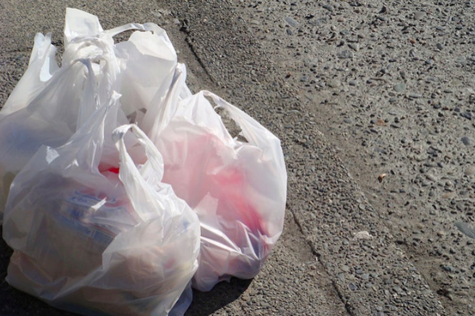 Which States Have Plastic Bag Bans