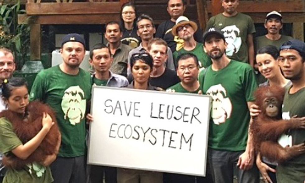 Leonardo DiCaprio Faces Deportation Threat After Criticizing Indonesia's Palm Oil Industry